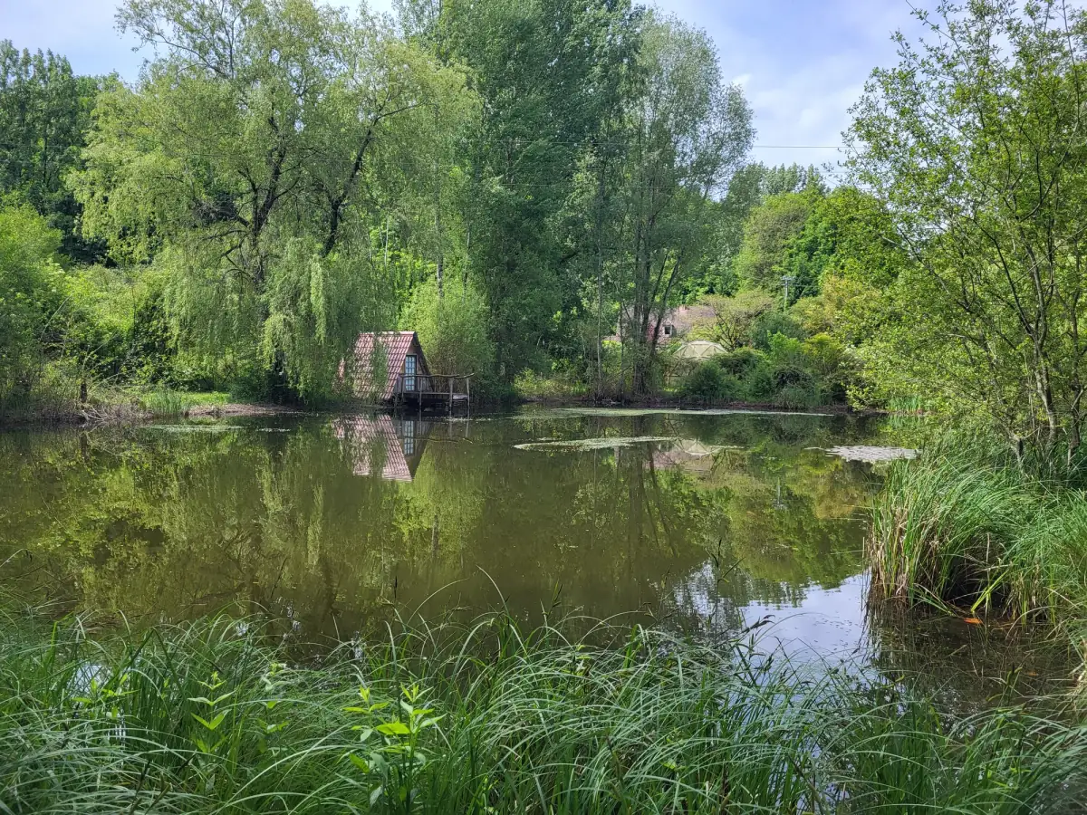 Cabane et étang